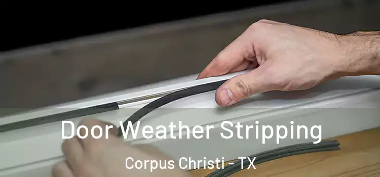 Door Weather Stripping Corpus Christi - TX