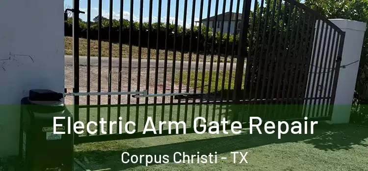Electric Arm Gate Repair Corpus Christi - TX