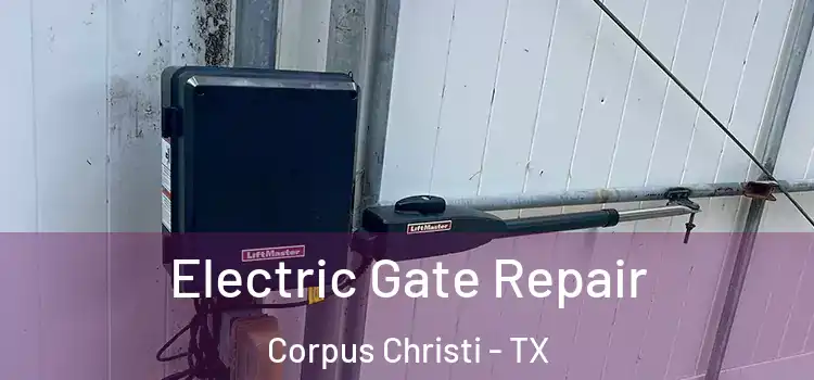 Electric Gate Repair Corpus Christi - TX