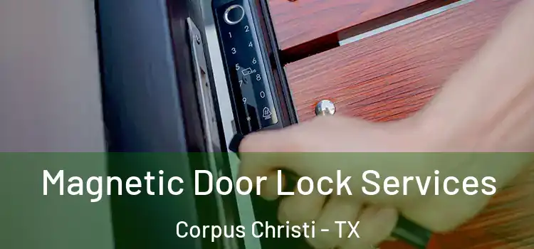 Magnetic Door Lock Services Corpus Christi - TX