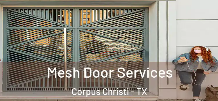 Mesh Door Services Corpus Christi - TX