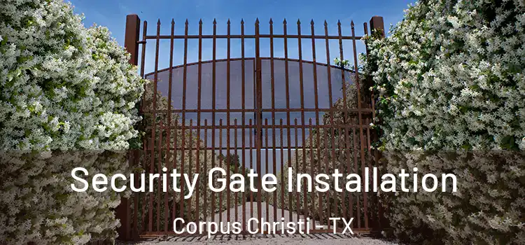Security Gate Installation Corpus Christi - TX